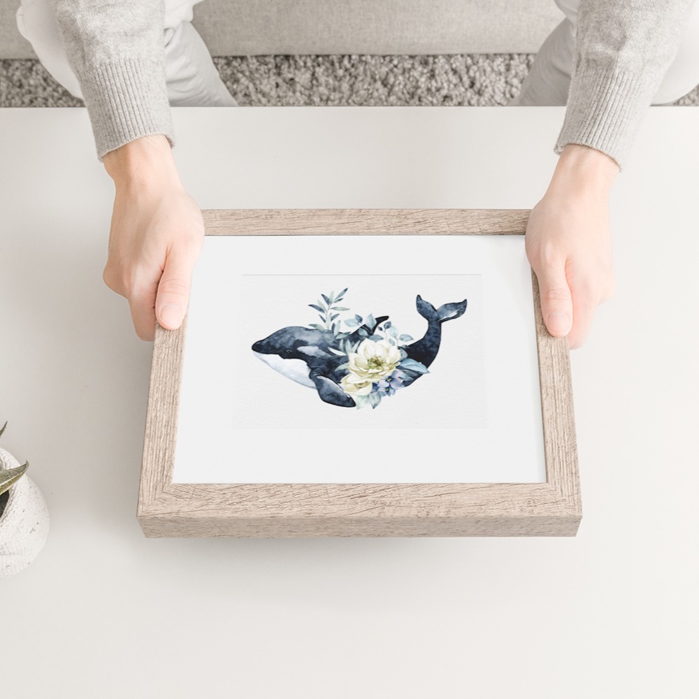 Watercolor Orca Whale Wall Art Illustration Print Poster Unframed - Picture 6 of 10